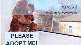  Presentation with person looking out in nature - Beautiful presentation design featuring animals need - toy-bear looking out window close-up backdrop and a sky blue colored foreground