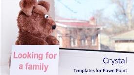  Presentation with toy - Slide deck having animals need - toy-bear looking out window close-up background and a sky blue colored foreground