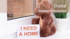  Presentation with toy - Slide set with animals need - toy-bear looking out window close-up background and a  colored foreground