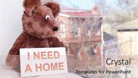 Presentation with person looking out in nature - Cool new theme with animals need - toy-bear looking out window close-up backdrop and a  colored foreground