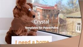  Presentation with toy - Beautiful PPT theme featuring animals need - toy-bear looking out window close-up backdrop and a  colored foreground