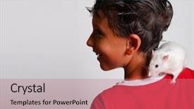 Presentation with white rat - Amazing PPT theme having animals rats - boy in a red t-shirt backdrop and a coral colored foreground