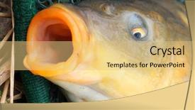  Presentation with mouth - Amazing theme having self motivation dont give up backdrop and a teal colored foreground.