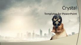  Presentation with ecology - Cool new slide set with image of ferret in gas backdrop and a light gray colored foreground