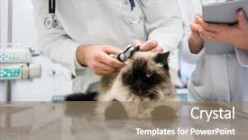  Presentation with holistic clinic - Presentation having woman standing around the examination background and a coral colored foreground