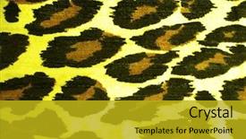  Presentation with tiger - PPT theme consisting of animals tigers cheetah - tiger pattern for background background and a gold colored foreground