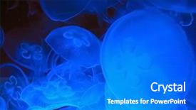  Presentation with deep blue - Cool new PPT theme with animaly - blue jellyfish in deep blue backdrop and a  colored foreground