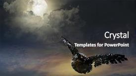  Presentation with night sky moon - Amazing PPT theme having skeleton - vestige - hieroglyph located backdrop and a gray colored foreground.