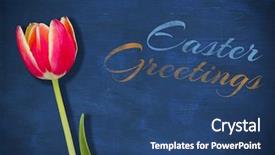  Presentation with blue tulip - PPT layouts enhanced with animation - close-up of tulip against blue background and a ocean colored foreground