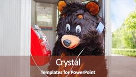  Presentation with red telephone - Presentation design consisting of animation action - actor dressed as bear talks background and a tawny brown colored foreground