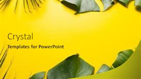  Presentation with green leaves - Slide deck consisting of animation-of-green-lush-leaves background and a white colored foreground