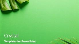  Presentation with green leaves - PPT theme with animation-of-green-lush-leaves background and a seafoam green colored foreground