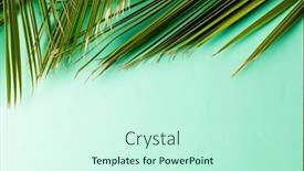  Presentation with green leaves - Presentation design consisting of animation-of-green-lush-leaves background and a cool aqua colored foreground