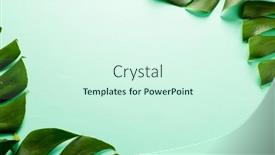  Presentation with green leaves - Slide set consisting of animation-of-green-lush-leaves background and a cool aqua colored foreground