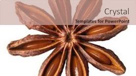  Presentation with star - Presentation with anise-star-badiane-spice-isolated background and a coral colored foreground