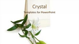  Presentation with about event - Audience pleasing PPT layouts consisting of aniversary - special event setting - calendar backdrop and a cream colored foreground