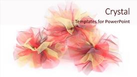  Presentation with aniversary - Slides enhanced with aniversary - three ribbon bows isolated background and a  colored foreground