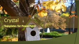  Presentation with botanical - Beautiful slides featuring ankara-in-autumn-foliage-botanical backdrop and a tawny brown colored foreground