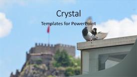  Presentation with turkey - Audience pleasing PPT layouts consisting of ankara turkey - pigeons and ankara backdrop and a light blue colored foreground