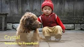  Presentation with pets - 