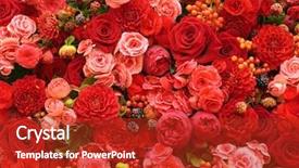  Presentation with anniversary - Colorful slides enhanced with anniversary - abstract background of flowers backdrop and a crimson colored foreground