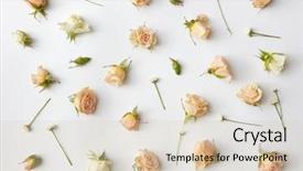  Presentation with heads - Slides with anniversary - assorted roses heads background and a lemonade colored foreground