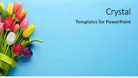  Presentation with anniversary - Cool new slides with anniversary - bunch of spring tulip flower backdrop and a arctic colored foreground