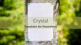  Presentation with announcement - PPT theme having announcement-notice-sign-blank-background background and a yellow colored foreground