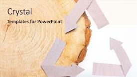  Presentation with recycle - Cool new presentation theme with annual cycle - close-up wooden cut and paper backdrop and a lemonade colored foreground