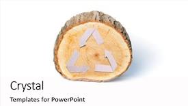  Presentation with recycle - Amazing PPT theme having annual cycle - close-up wooden cut and paper backdrop and a white colored foreground