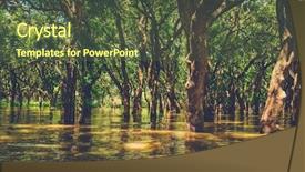  Presentation with rain - PPT layouts having annual cycle - flooded trees in mangrove rain background and a tawny brown colored foreground