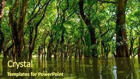  Presentation with village - Slide deck enhanced with annual cycle - flooded trees in mangrove rain background and a tawny brown colored foreground