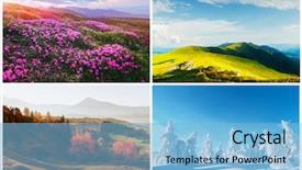  Presentation with pictures of birds - Slide set featuring annual cycle - set of four landscape pictures background and a light blue colored foreground