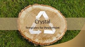  Presentation with recycle - Cool new slide set with annual cycle - wooden cut on green grass backdrop and a coral colored foreground