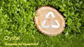  Presentation with cut - Presentation theme featuring annual cycle - wooden cut on green grass background and a tawny brown colored foreground