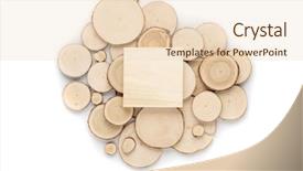  Presentation with tree rings - Amazing presentation design having annual rings and wooden square backdrop and a lemonade colored foreground