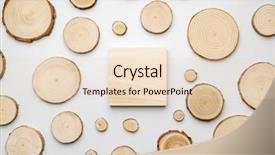  Presentation with tree rings - Amazing slide set having annual rings and wooden square backdrop and a lemonade colored foreground