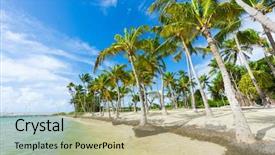  Presentation with cake grain and saint - Colorful slide deck enhanced with anse champagne beach in saint francois guadeloupe caribbean backdrop and a mint green colored foreground