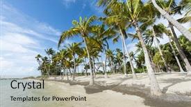  Presentation with champagne - Presentation design having anse-champagne-beach-in-saint background and a mint green colored foreground
