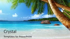  Presentation with island - Theme having coconut palm tree - anse lazio beach at praslin background and a light blue colored foreground