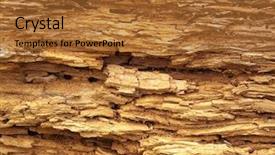  Presentation with termite - Beautiful presentation featuring termite infested wood close up backdrop and a red colored foreground