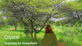  Presentation with ant - Beautiful PPT layouts featuring ant colony - termite mound in south africa backdrop and a tawny brown colored foreground