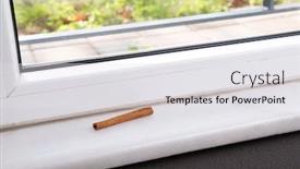  Presentation with ant - Beautiful presentation design featuring ants - ant control using cinnamon stick backdrop and a white colored foreground