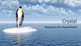  Presentation with antarctic - Audience pleasing slide deck consisting of global warming 3d render - antarctic penguin on ice backdrop and a light blue colored foreground