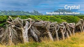  Presentation with antarctica tourism - Colorful theme enhanced with antatrctica - great trip to new zealand backdrop and a teal colored foreground