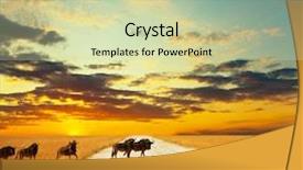  Presentation with crowd - Amazing presentation theme having antelope gnu crowd backdrop and a soft green colored foreground