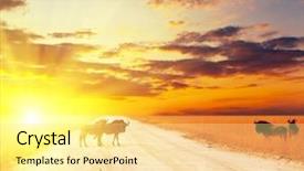  Presentation with crowd - Presentation theme consisting of antelope gnu crowd background and a blonde colored foreground