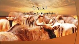  Presentation with crowd marketing chess - Amazing theme having antelope gnu crowd backdrop and a yellow colored foreground