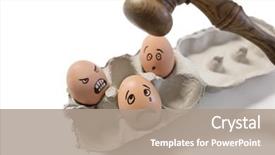  Presentation with food law - PPT theme featuring food law - funny faces on egg background and a  colored foreground