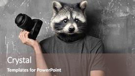  Presentation with transformation - Amazing presentation having body transformation - photographer with head of raccoon backdrop and a gray colored foreground